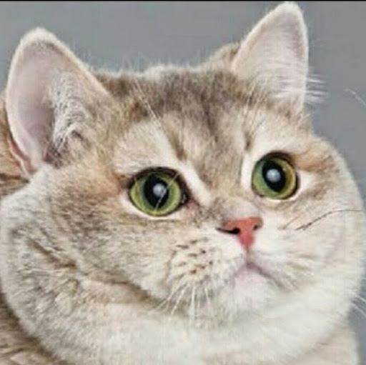 chester gayle biscocho