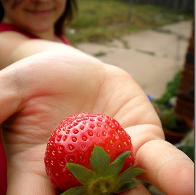 Elizabeth Pressler-Henderson