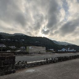 Dusty Fellow (Dusty)