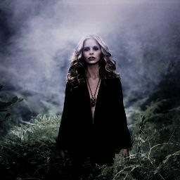 Arie Seardon (Gellarfan666)