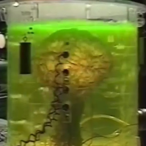 skjfalskdjflkas sdflkajsdl