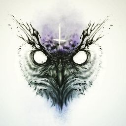 Noah J. (GoldenAirhead)