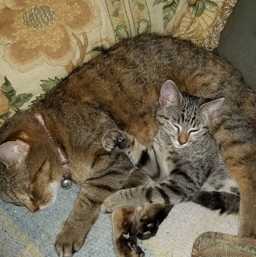 Heather Featherstone