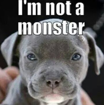 Adriana Cuevas Zamora