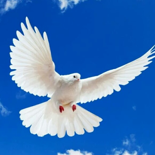 Benard Charles Bukanu