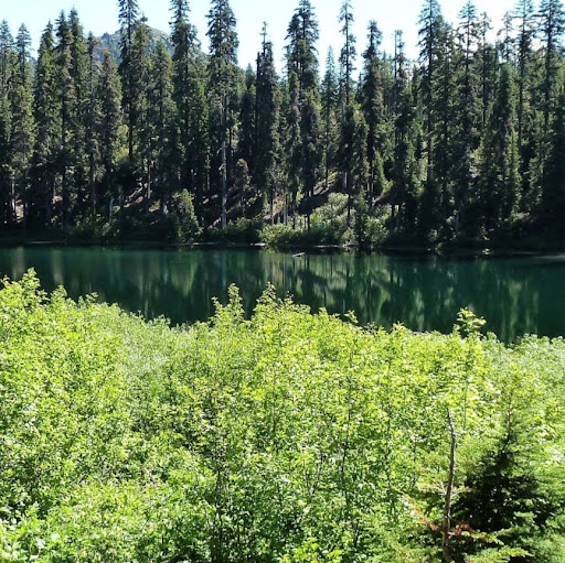 Nghĩa Vũ Đăng (Ken Vũ)