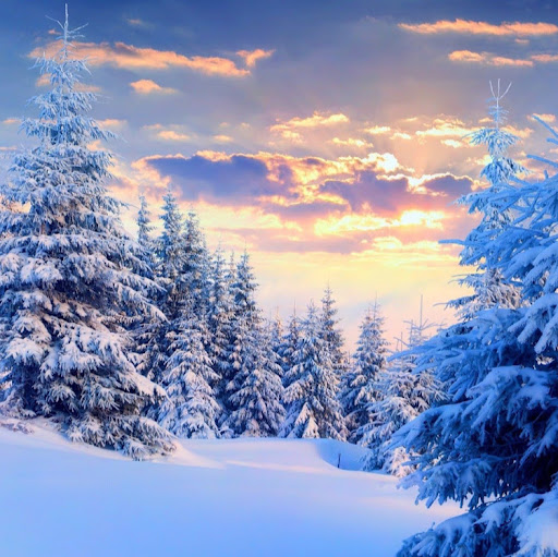 We love Earth (We love earth)