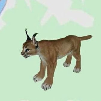 Станислав Сергеев