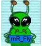 mR Fly