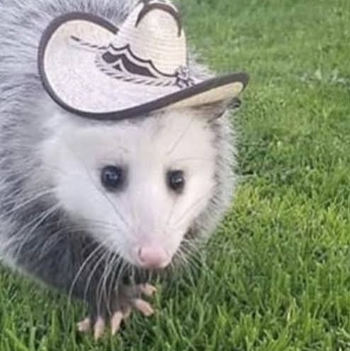 KIMBA DENMARK (Martha Stewart)