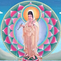 Harmony Light Warrior