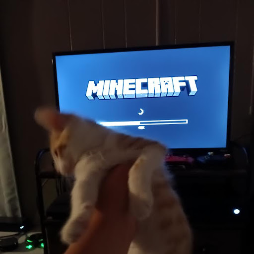 Andres Romero Magana