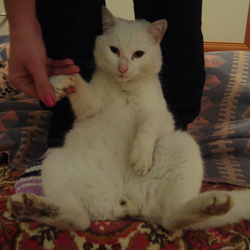 Діма Слівінський