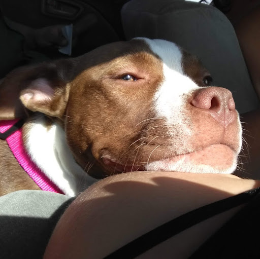 Angelina Cobian-Freeman