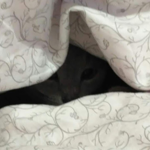 Adam Antoni Dobrowolski