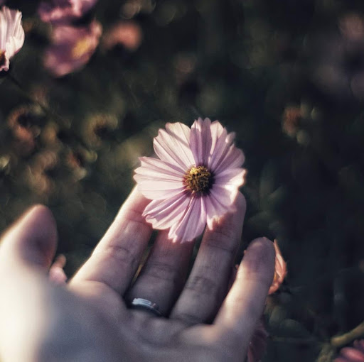 Potato _chips _with_cheese