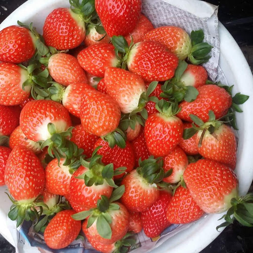 다연다율규혁tv