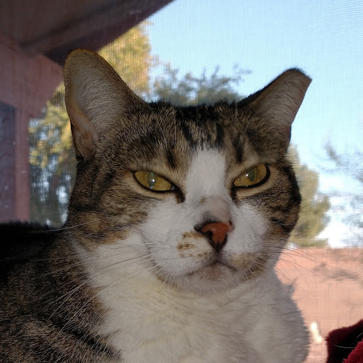 Christian von Oppenfeld