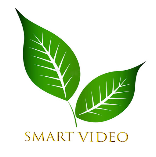 Smart Video