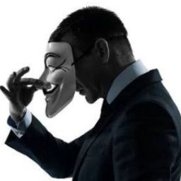 The_Secret_Vlogger