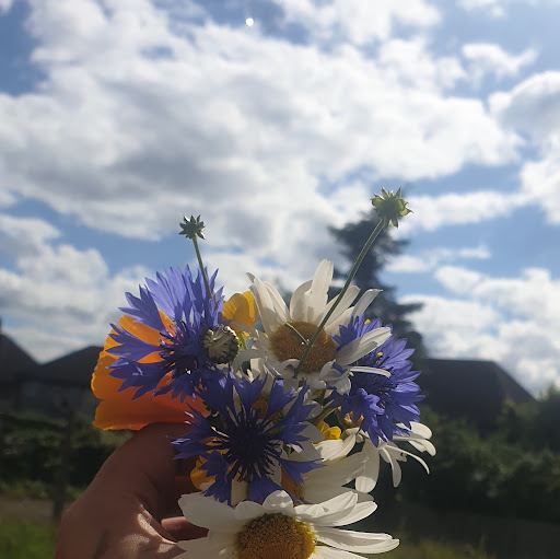 Amelia Vaiciulyte chalan