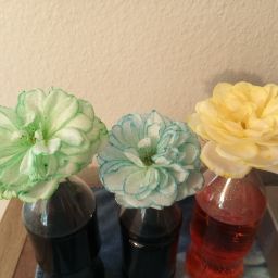 Tina marie Ayres Erickson