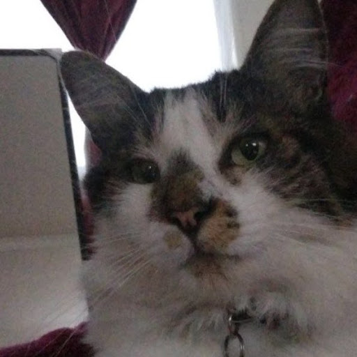 Francisco Fuentealba Ch.