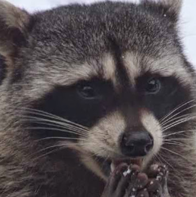 Serhii Bezdieniezhnykh