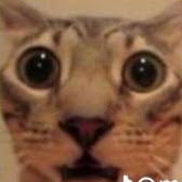 qwertyuii asdfgjklhkl