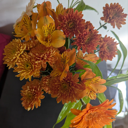 Vinthiya Balachandran