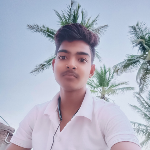 Vinay Chaudhary