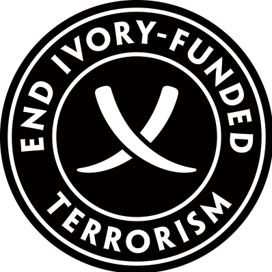 Airstream Enlightened