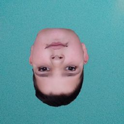 Tamara “Teo Teobor” Ancevska