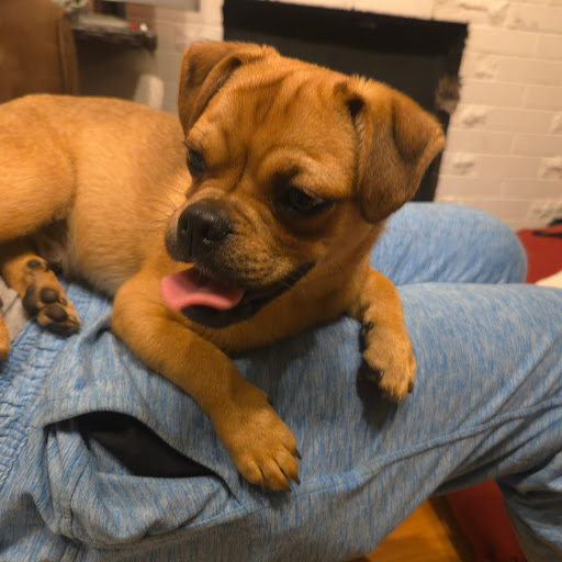 Zac “Zac” & Kindra