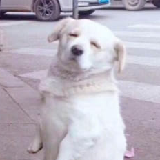 Анатолій Мосійчук