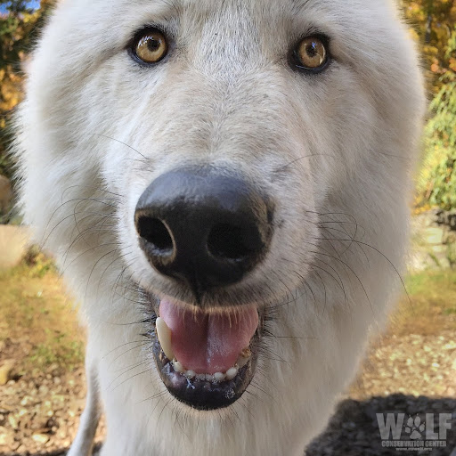 Shaneena Luz S. Asuncion (Shane)