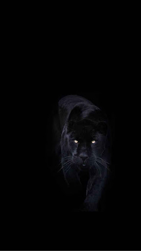 Anuj