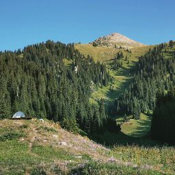 Владислав Воронкин