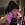 Urix._.55r