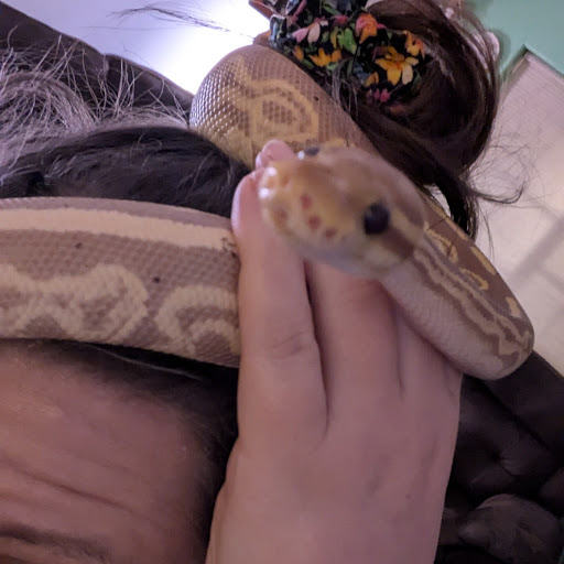 A LeBlanc (bgirlsquirrel)