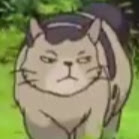 Totally_not _a_robot