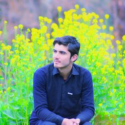 author