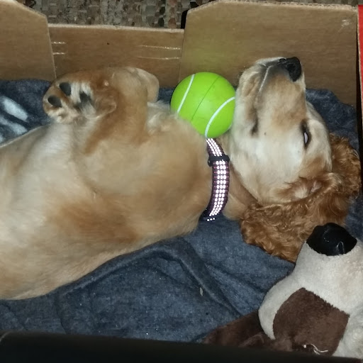 Riaan & Marlize Taljaard