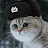 Soviet Kitten-avatar