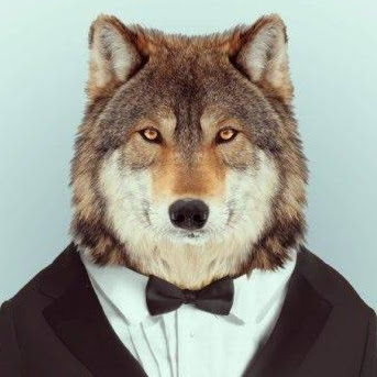Awesomein360 aka Tiago Wolf