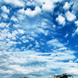 サルでもわかるfx 副業fxを7日で学習 Google Play のアプリ
