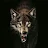 Ravenous-wolf 311-avatar