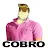 HoBRO TheBRO-avatar