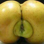 Coochie Fruit