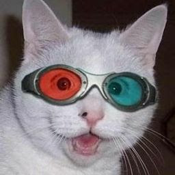 T1ggerTheCat